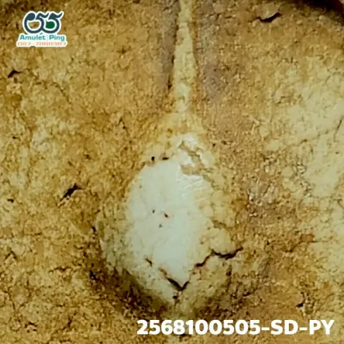 100× magnification — Somdej Toh amulet, Phim Yai, Phra Prathan, Sacred powder