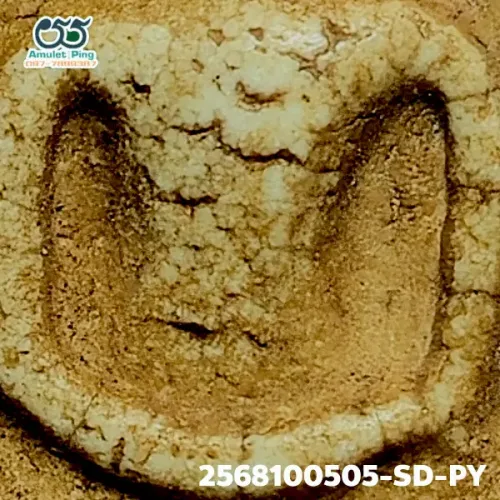 100× magnification — Somdej Toh amulet, Phim Yai, Phra Prathan, Sacred powder