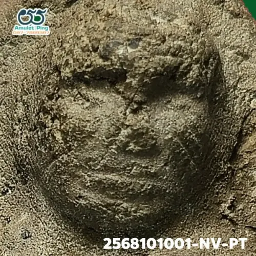 100 倍放大 — 龙婆托佛牌 铅料 药草料 瓦昌海寺 北大年府 佛历 2497