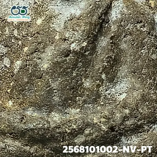 100× magnification — Luang Phor Thuad amulet, lead material, Herbal (Wan), Wat
