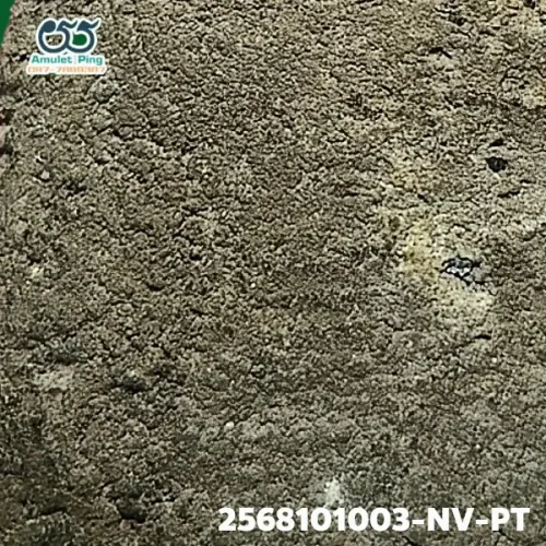 100× magnification — Luang Phor Thuad amulet, lead material, Herbal (Wan), Wat