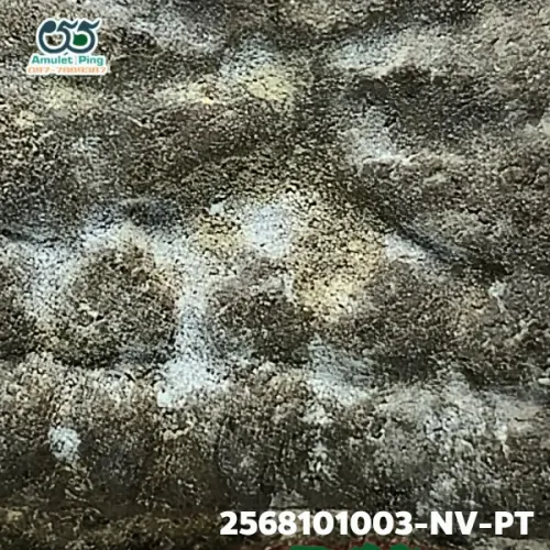 100× magnification — Luang Phor Thuad amulet, lead material, Herbal (Wan), Wat