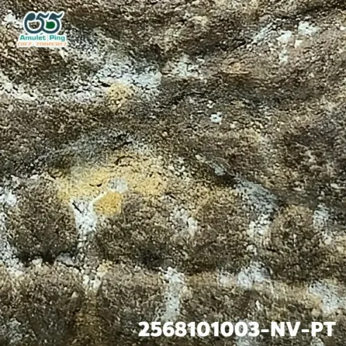 100× magnification — Luang Phor Thuad amulet, lead material, Herbal (Wan), Wat