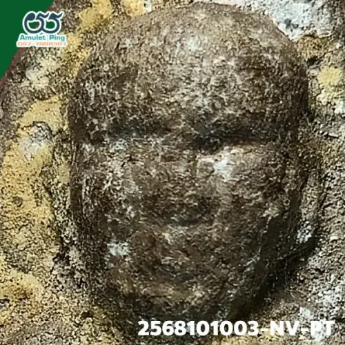 100× magnification — Luang Phor Thuad amulet, lead material, Herbal (Wan), Wat