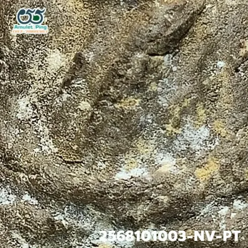 100× magnification — Luang Phor Thuad amulet, lead material, Herbal (Wan), Wat