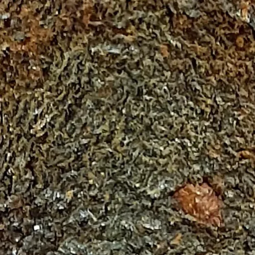 100× magnification — Phra Pidta by Luang Phor Kaew, plain back, Powder with