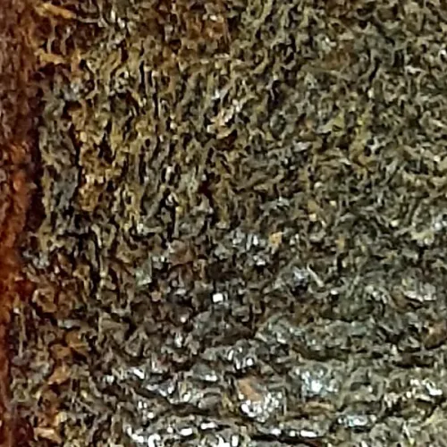100× magnification — Phra Pidta by Luang Phor Kaew, plain back, Powder with
