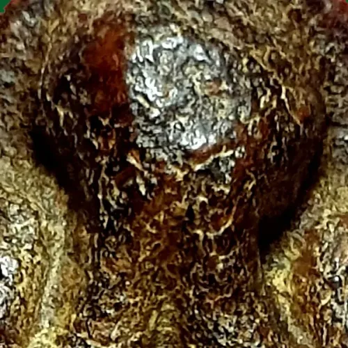 100× magnification — Phra Pidta by Luang Phor Kaew, plain back, Powder with