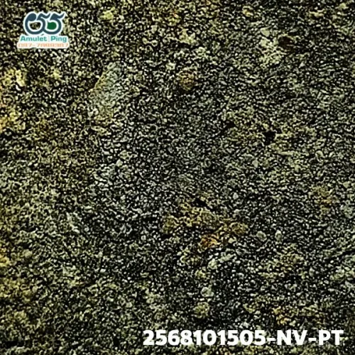 100 倍放大 — 龙婆托佛牌 铅料 龙婆托药草料 瓦昌海寺 北大年府 佛历 2497