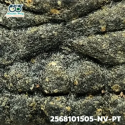 100 倍放大 — 龙婆托佛牌 铅料 龙婆托药草料 瓦昌海寺 北大年府 佛历 2497