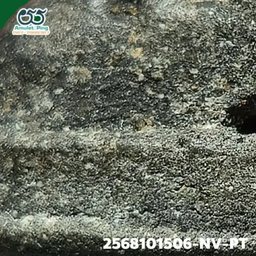 100 倍放大 — 龍婆托佛牌 鉛料 藥草料 瓦昌海寺 北大年府 佛曆 2497