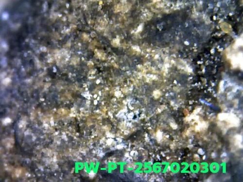 ภาพขยาย พระเนื้อว่านหลวงปู่ทวด พิมพ์ใหญ่ หัวขีด วัดช้างให้…