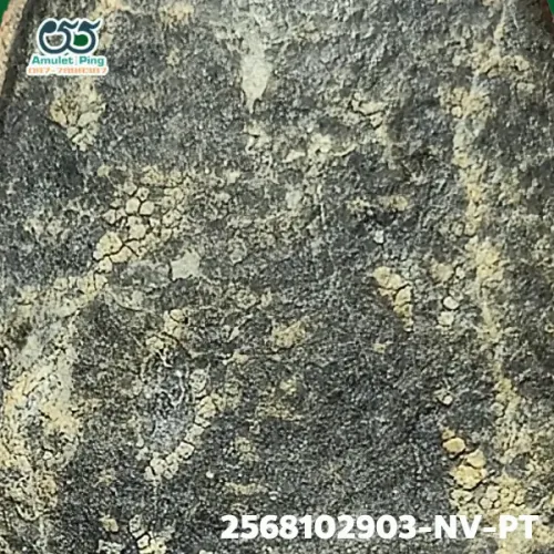 100 倍放大 — 龙婆托佛牌 矮版 药草料 瓦昌海寺 北大年府 佛历 2497