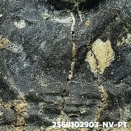 100 倍放大 — 龙婆托佛牌 矮版 药草料 瓦昌海寺 北大年府 佛历 2497