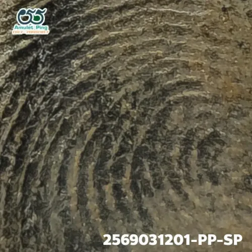 100× magnification — Phra Mahathera Piyathassi amulet, old face, Clay, Wat Phra