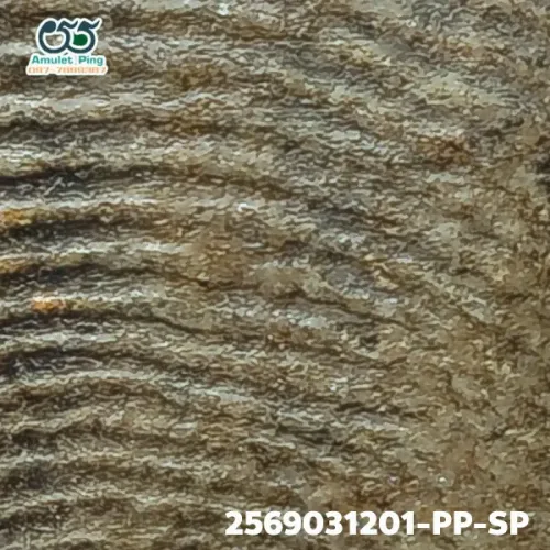100× magnification — Phra Mahathera Piyathassi amulet, old face, Clay, Wat Phra