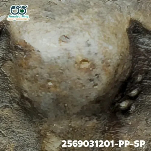 100× magnification — Phra Mahathera Piyathassi amulet, old face, Clay, Wat Phra