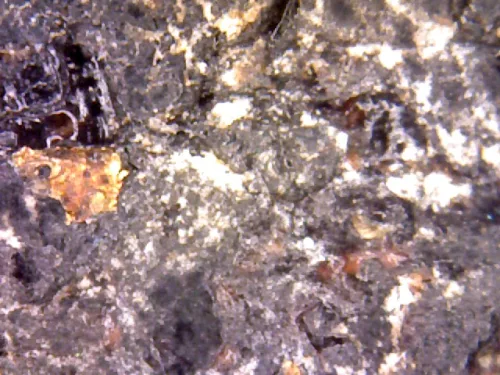 1000× magnification — Phra Pidta by Luang Phor Kaew, flat back, Powder with