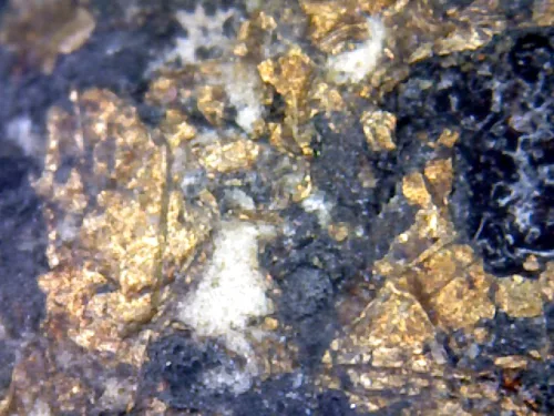 1000× magnification — Phra Pidta by Luang Phor Kaew, flat back, Powder with