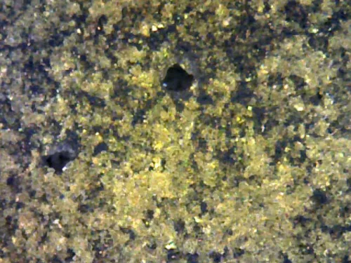 1000 倍放大 — 泰王拉玛九世崇迪佛牌 大模 树脂 王宫 曼谷 佛历 2509