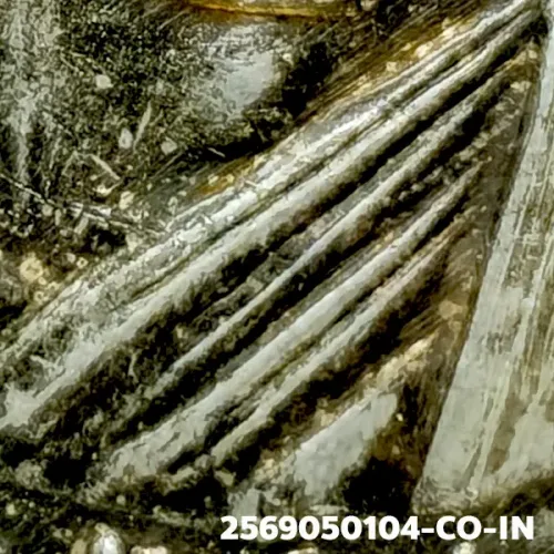 100 倍放大 — 龙婆托铜牌 裂嘴版 银质 瓦昌海寺 北大年府 佛历 2508