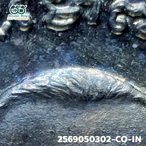 100× magnification — Luang Phor Thuad coin, small fish-roe dots, Blackened