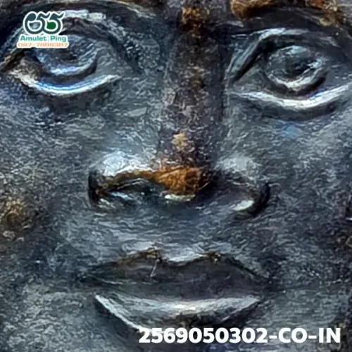 100× magnification — Luang Phor Thuad coin, small fish-roe dots, Blackened