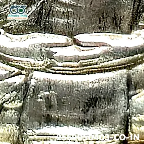 100× magnification — Luang Pu Tim amulet, Phim Sema, 8th cycle (age 96), Silver