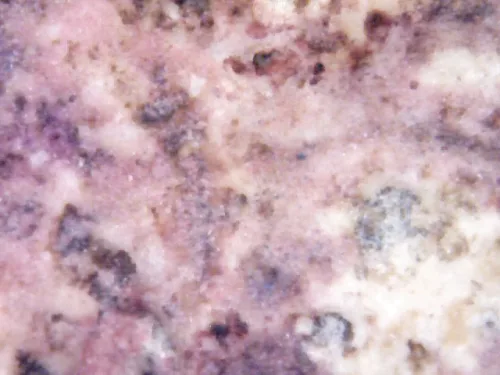 1000× magnification — Somdej Toh amulet, Than Saem Ok Rong (grooved chest) Hu Yan