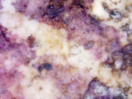 1000× magnification — Somdej Toh amulet, Than Saem Ok Rong (grooved chest) Hu Yan