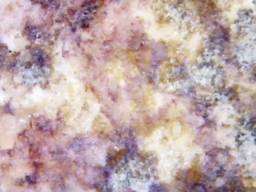 1000× magnification — Somdej Toh amulet, Than Saem Ok Rong (grooved chest) Hu Yan