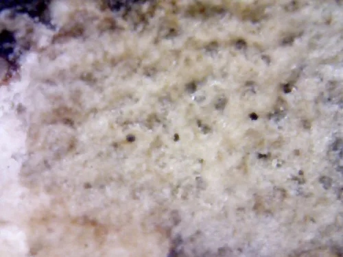 1000× magnification — Somdej Toh amulet, Than Saem Ok Rong (grooved chest) Hu Yan