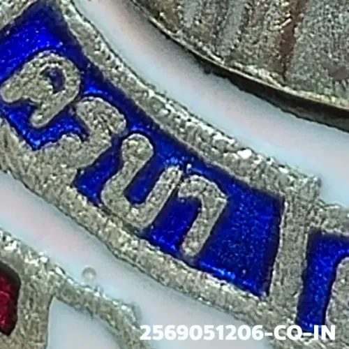 100× magnification — Khruba Srivichai coin, Kammakan (committee), Enamelled