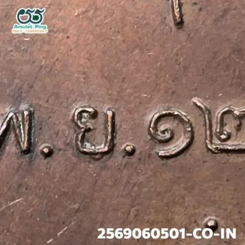 100× magnification — Luang Pu Phang coin, Phim Sara A block, Copper, Wat Udom
