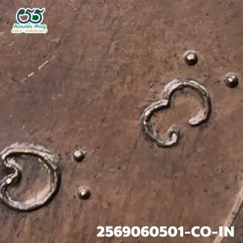 100× magnification — Luang Pu Phang coin, Phim Sara A block, Copper, Wat Udom