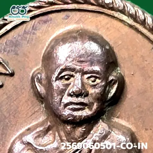 100× magnification — Luang Pu Phang coin, Phim Sara A block, Copper, Wat Udom