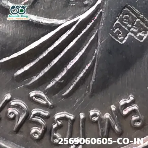 100× magnification — Luang Phor Koon coin, Charoen Phon Lang (text below)