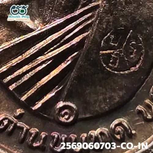 100× magnification — Luang Phor Koon coin, code "P R Th", Copper, Wat Ban Rai