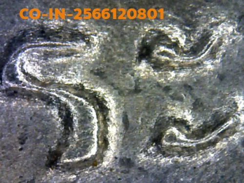 1000× magnification — Luang Pu Tim coin, Sema, 8th cycle (age 96), Silver, Wat
