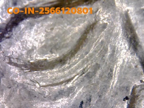 1000× magnification — Luang Pu Tim coin, Sema, 8th cycle (age 96), Silver, Wat