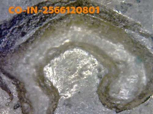 1000× magnification — Luang Pu Tim coin, Sema, 8th cycle (age 96), Silver, Wat