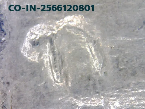 1000× magnification — Luang Pu Tim coin, Sema, 8th cycle (age 96), Silver, Wat