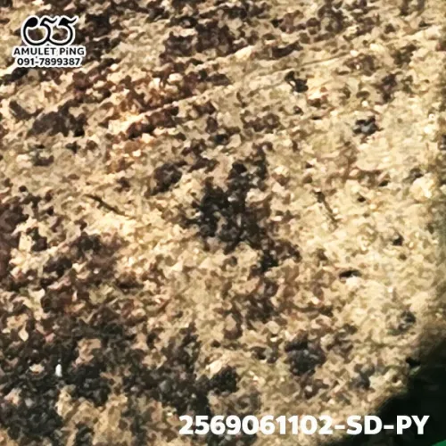 100 倍放大 — 崇迪阿贊多佛牌 大模 主佛 多粘合料 貝殼灰粉 瓦拉康寺 曼谷 佛曆 2414