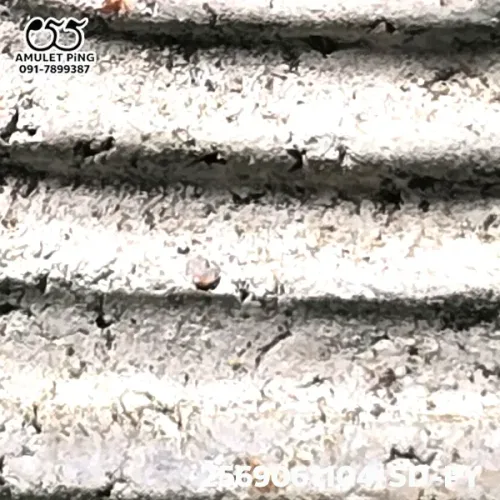 100 倍放大 — 崇迪阿贊多佛牌 大模 主佛 多灰 貝殼灰粉 瓦拉康寺 曼谷 佛曆 2414