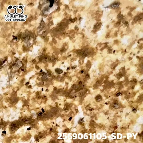 100× magnification — Somdej Toh amulet, Phim Yai, Phra Prathan lime-rich