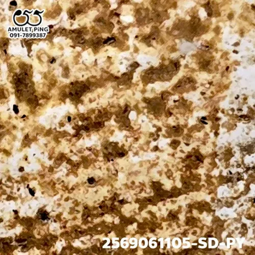 100× magnification — Somdej Toh amulet, Phim Yai, Phra Prathan lime-rich