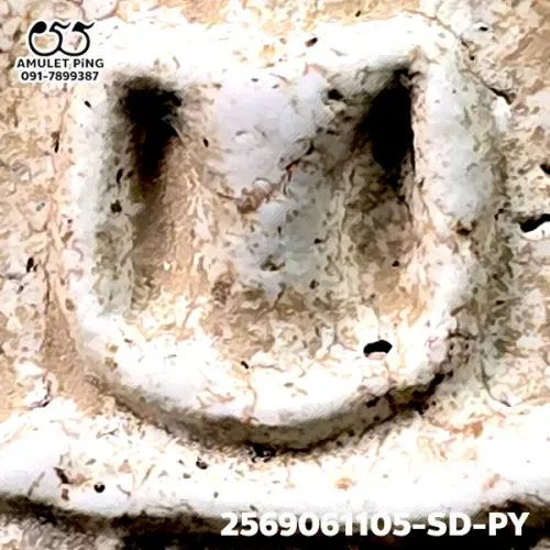 100× magnification — Somdej Toh amulet, Phim Yai, Phra Prathan lime-rich