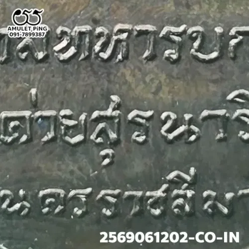 100× magnification — Luang Phor Kasem coin, Korat Battalion, Copper, Susan