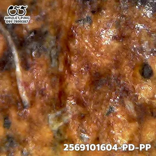 1000 倍放大 — 龙婆班佛牌 骑鸡 蓬尾 泥料 瓦邦诺空寺 大城府 佛历 2450