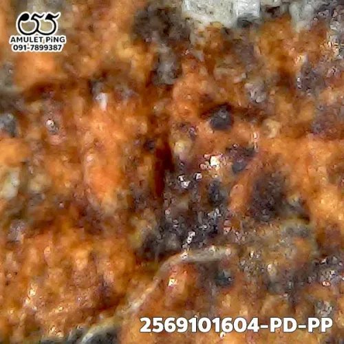 1000 倍放大 — 龙婆班佛牌 骑鸡 蓬尾 泥料 瓦邦诺空寺 大城府 佛历 2450
